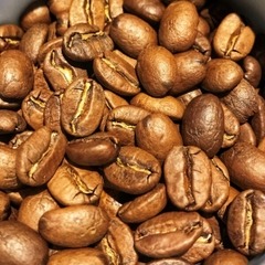 Sản xuất/Gia công Cà phê Arabica